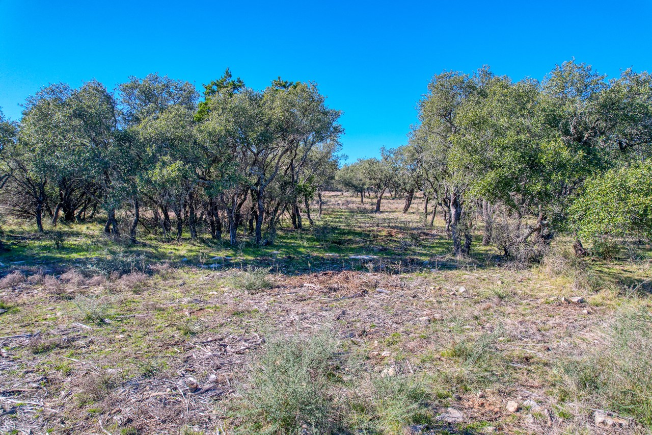 415 Longview Lane Cherokee, TX 76832 - Photo 7 of 10 a backyard of a house with lots of green space