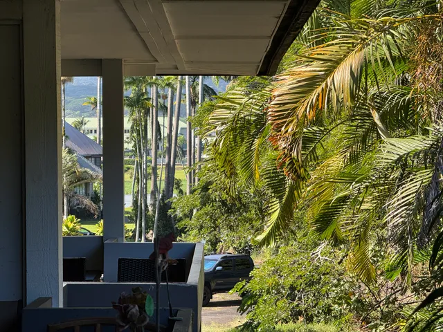 a view of balcony with garden