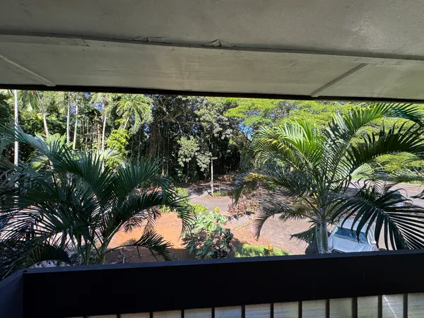 a view of a yard