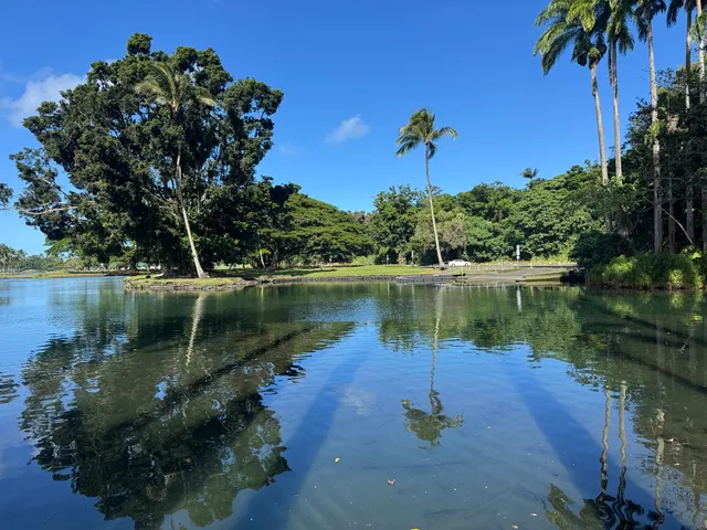 a view of a backyard with swimming pool