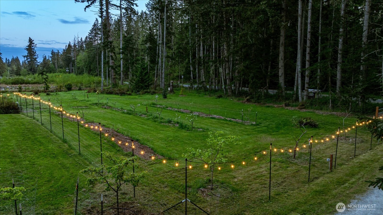 5287 Maxwelton Road Langley, WA 98260 - Photo 39 of 40 a lush green forest with lots of trees