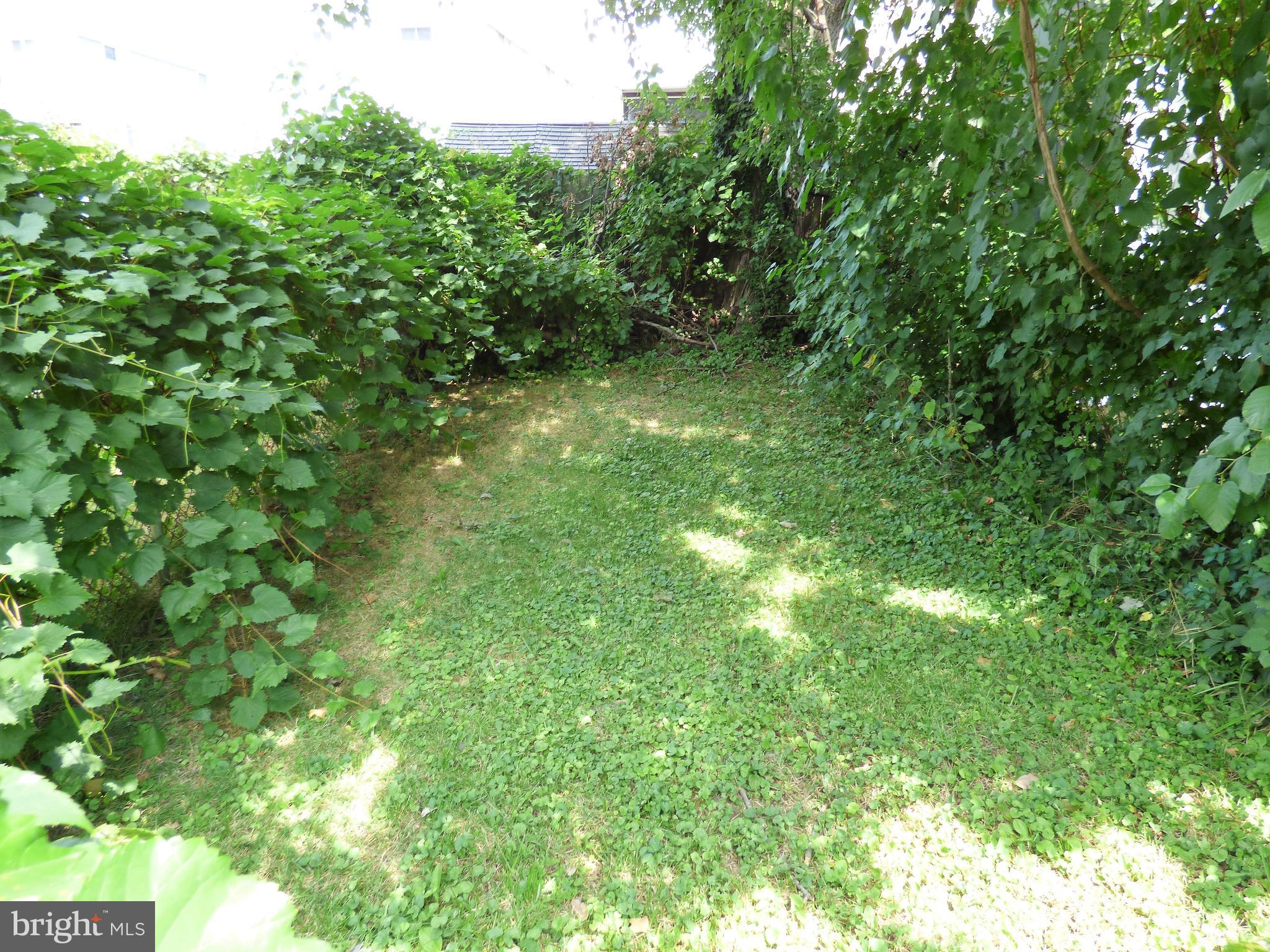 931 Grant Road Folcroft, PA 19032 - Photo 13 of 14 Backyard