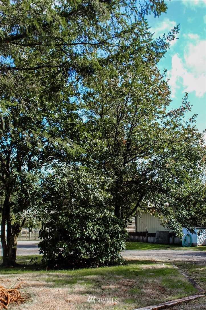 10032 168th Avenue Southwest Rochester, WA 98579 - Photo 18 of 25