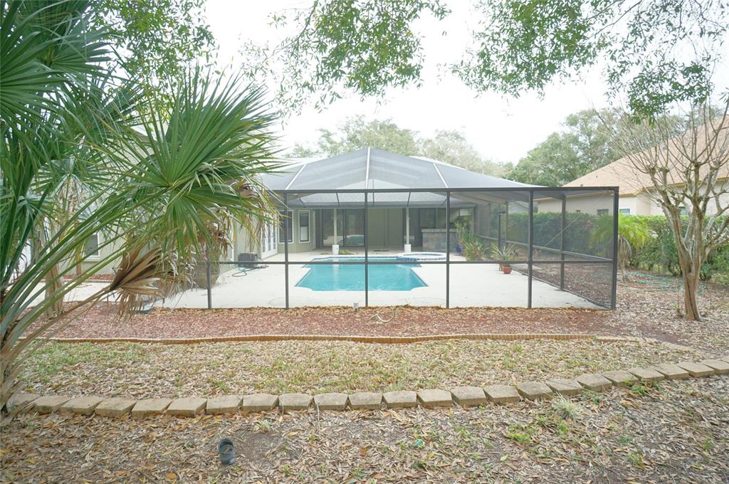 3807 Turkey Oak Drive Valrico, FL 33596 - Photo 34 of 44 a view of a backyard
