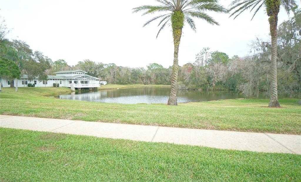 3807 Turkey Oak Drive Valrico, FL 33596 - Photo 41 of 44 a view of a lake with a yard