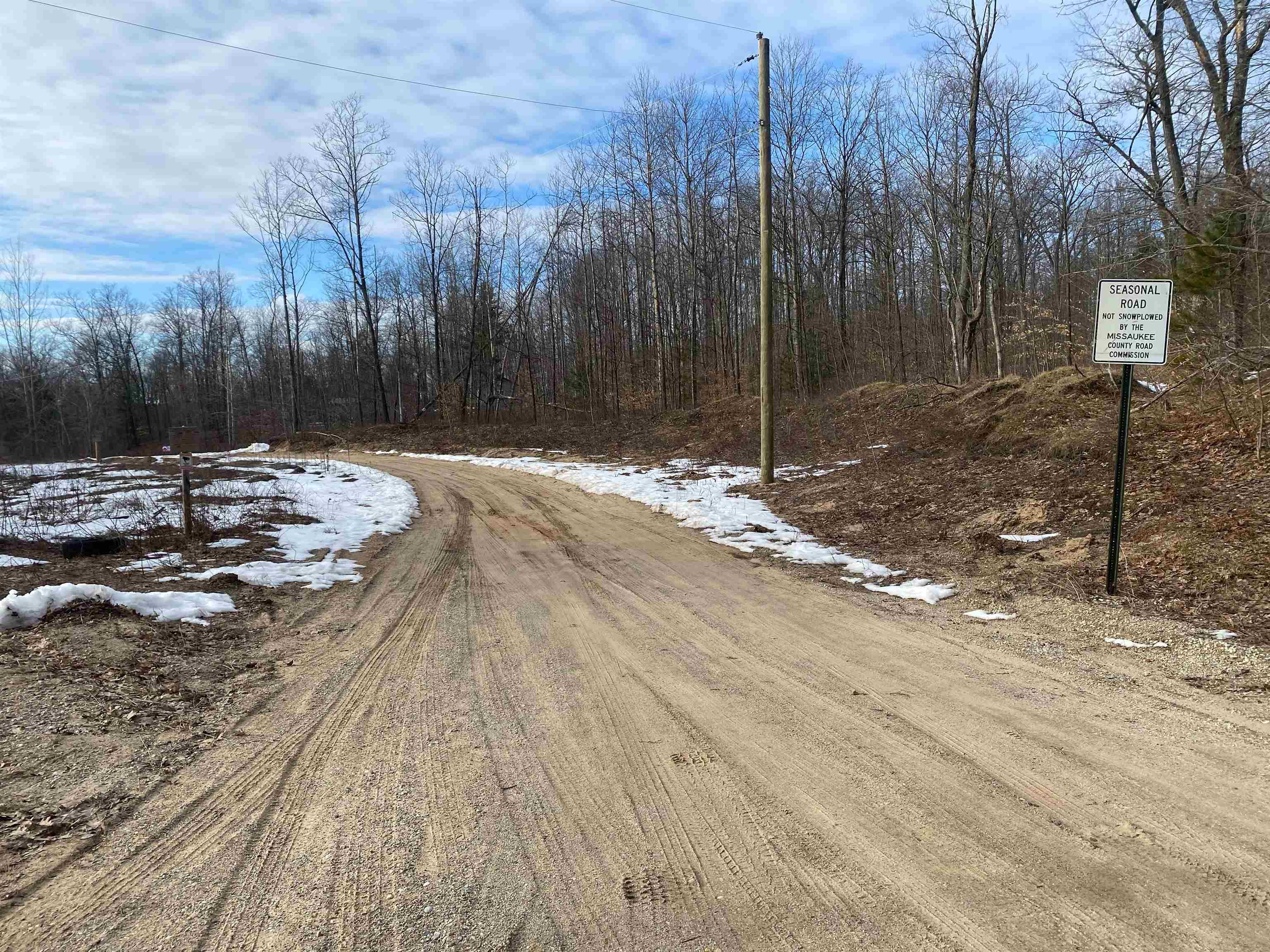 5955 South Brown Road Manton, MI 49663 - Photo 3 of 11
