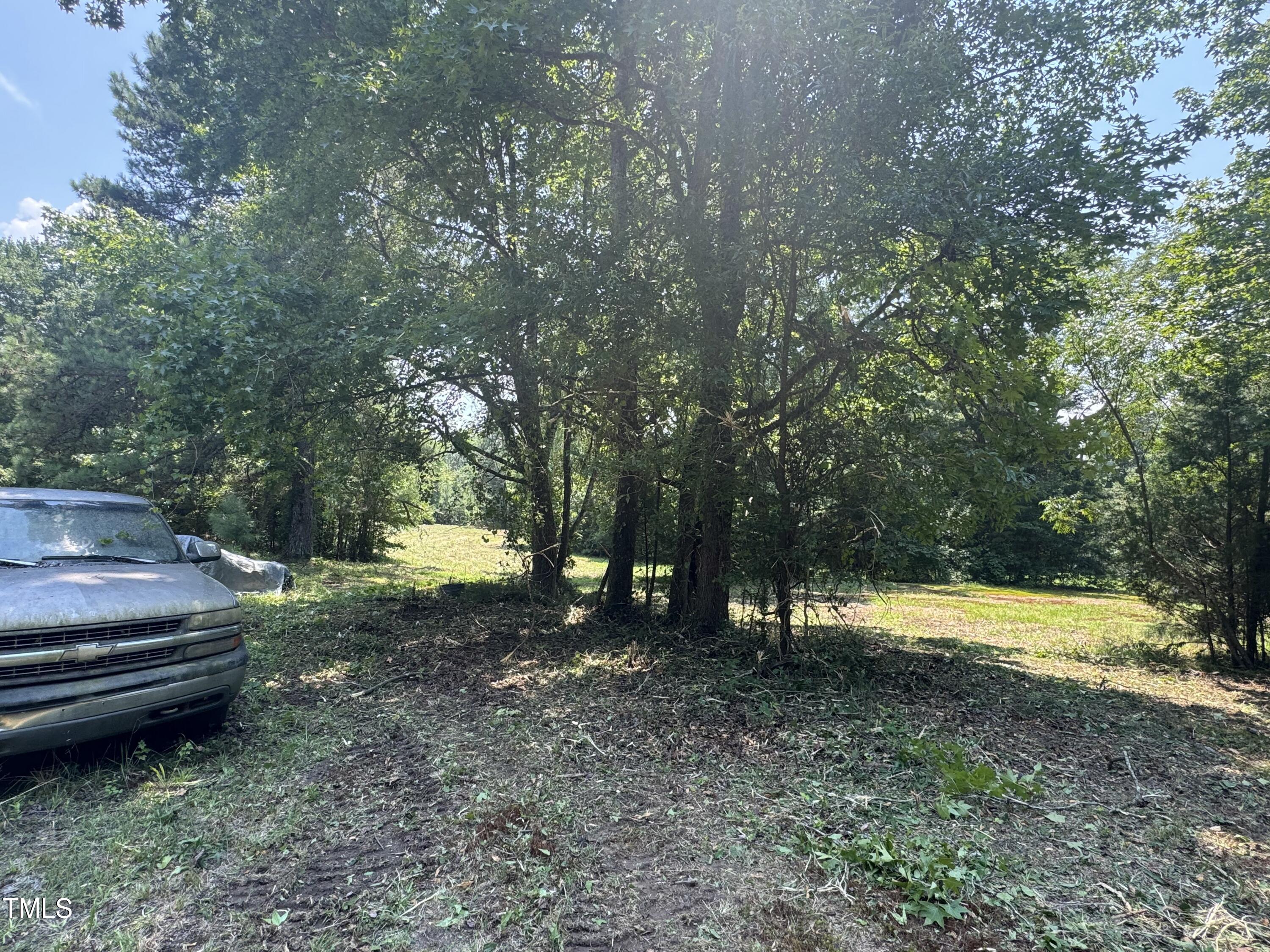 163 Sexton Road Apex, NC 27523 - Photo 5 of 10 clean up 1