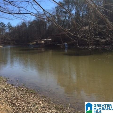 338 Davis Acres Drive, Unit 1 Alpine, AL 35014 - Photo 5 of 19