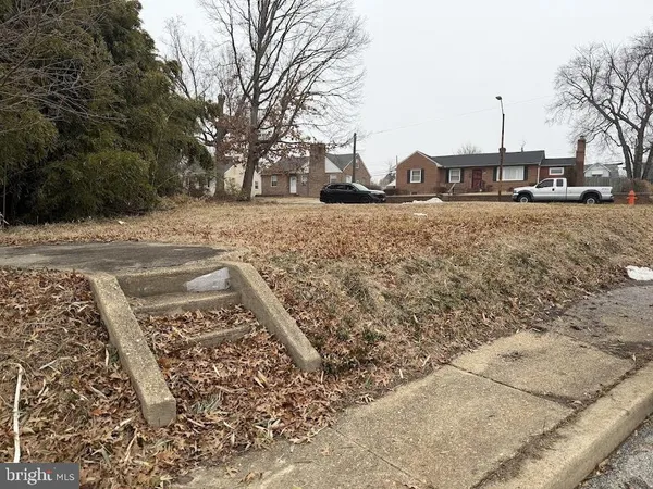 a view of a yard covered with snow in the road