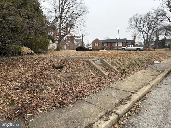 a view of a yard with plants and trees