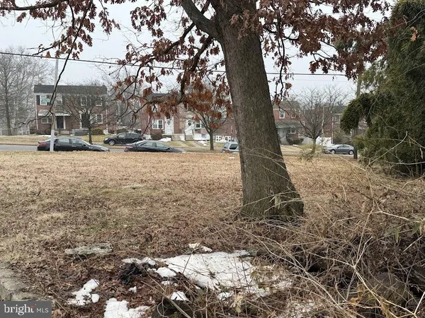 a view of wooden fence and trees