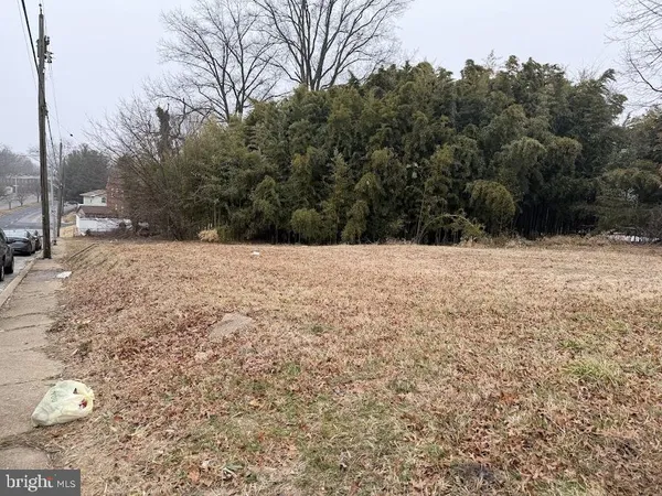a view of a yard with large trees