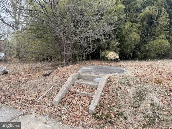 a view of a outdoor space with a tree
