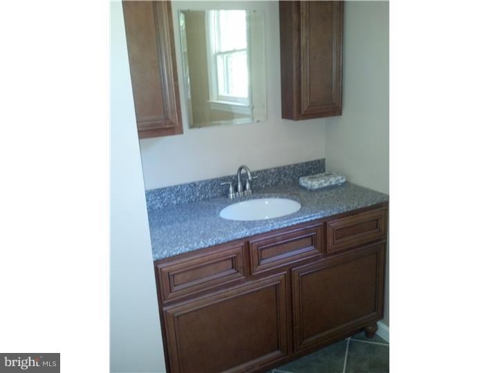 241 Rugby Road Birdsboro, PA 19508 - Photo 6 of 10 Bathroom