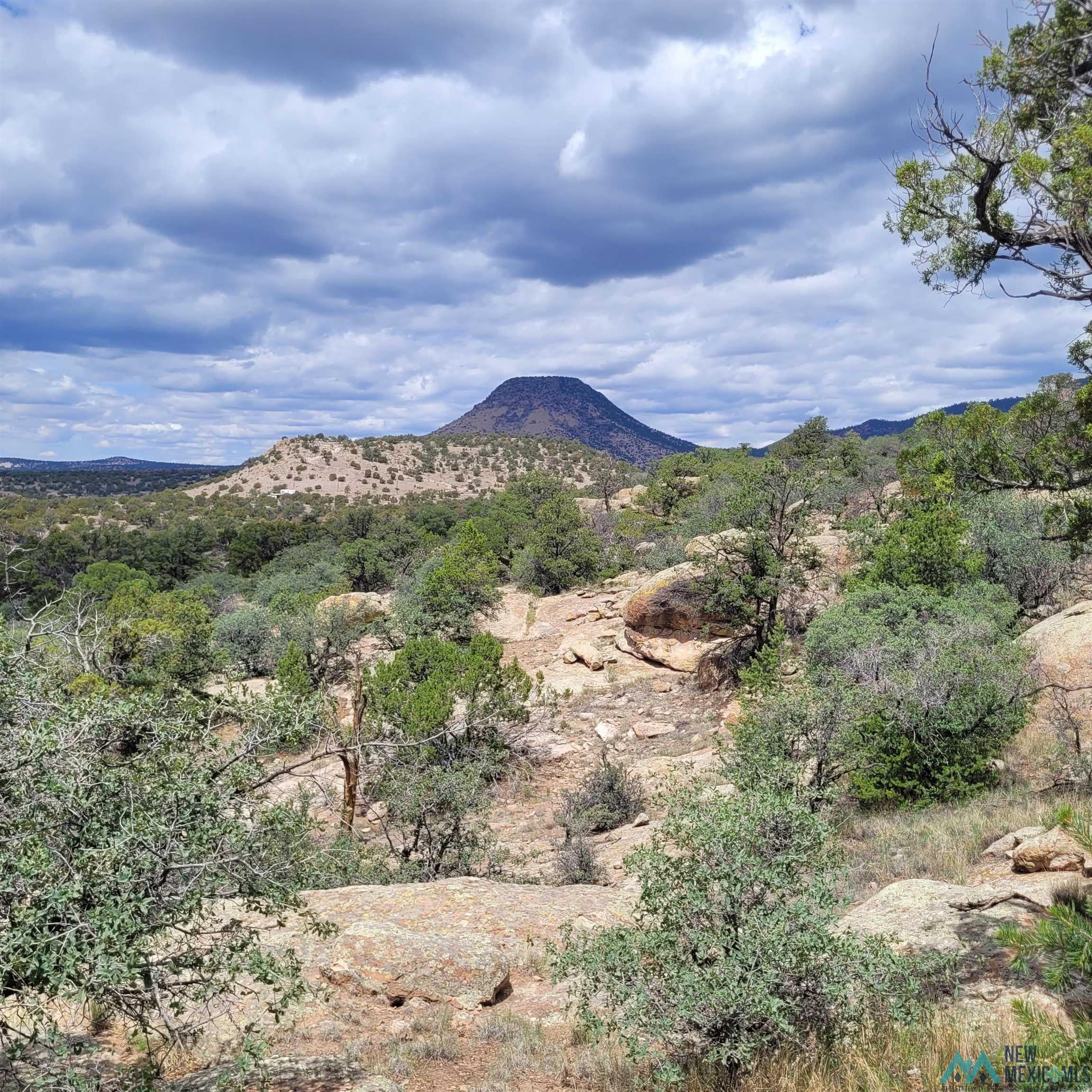 Xx Lookout Loop Datil, NM 87821 - Photo 3 of 38 Gallery Image 3