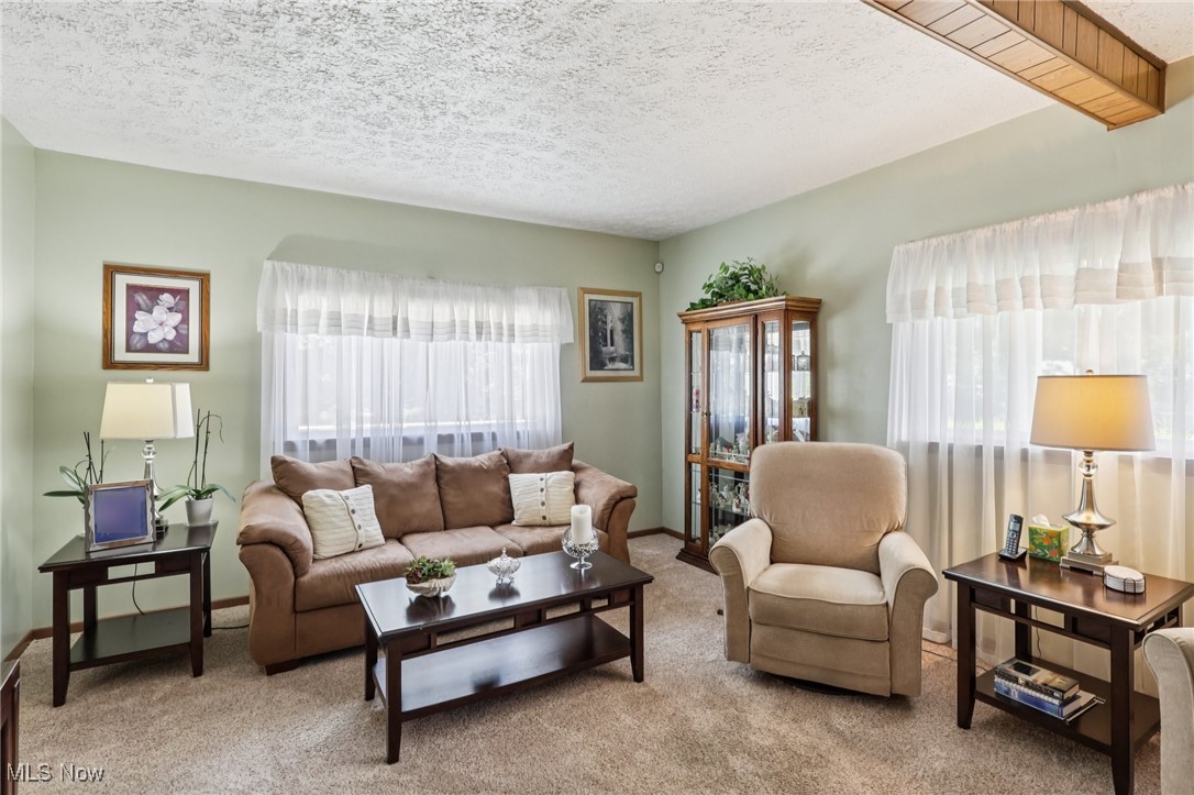 Carpeted living area featuring a textured ceiling and baseboards
