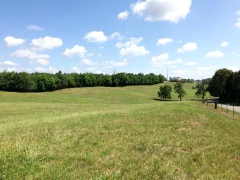 733 Zirkle Road Dandridge, TN 37725 - Photo 2 of 24 24.60 ACRES