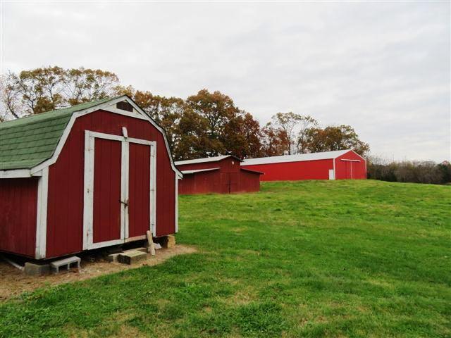 733 Zirkle Road Dandridge, TN 37725 - Photo 12 of 24 BARNS & STORAGE BUILDING