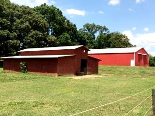 733 Zirkle Road Dandridge, TN 37725 - Photo 13 of 24 LARGE BARNS