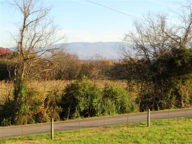 733 Zirkle Road Dandridge, TN 37725 - Photo 16 of 24 VIEWS