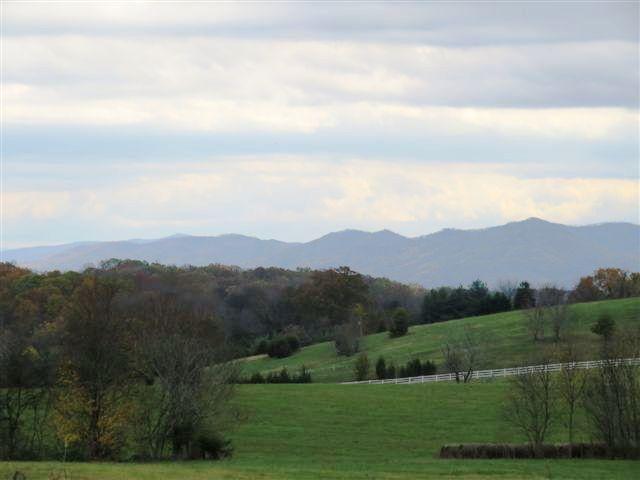 733 Zirkle Road Dandridge, TN 37725 - Photo 20 of 24 VIEWS