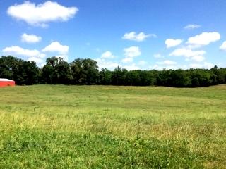 733 Zirkle Road Dandridge, TN 37725 - Photo 5 of 24 FARMLAN D