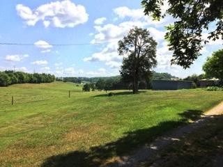 733 Zirkle Road Dandridge, TN 37725 - Photo 6 of 24 BEAUTIFUL FARM