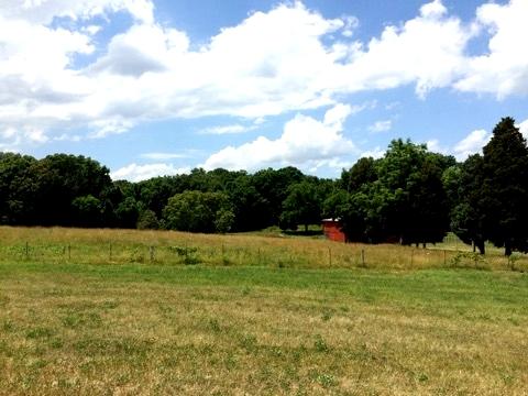 733 Zirkle Road Dandridge, TN 37725 - Photo 7 of 24 LEVEL TO ROLLING