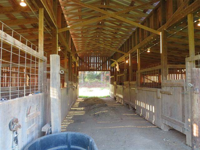 733 Zirkle Road Dandridge, TN 37725 - Photo 10 of 24 STALLS