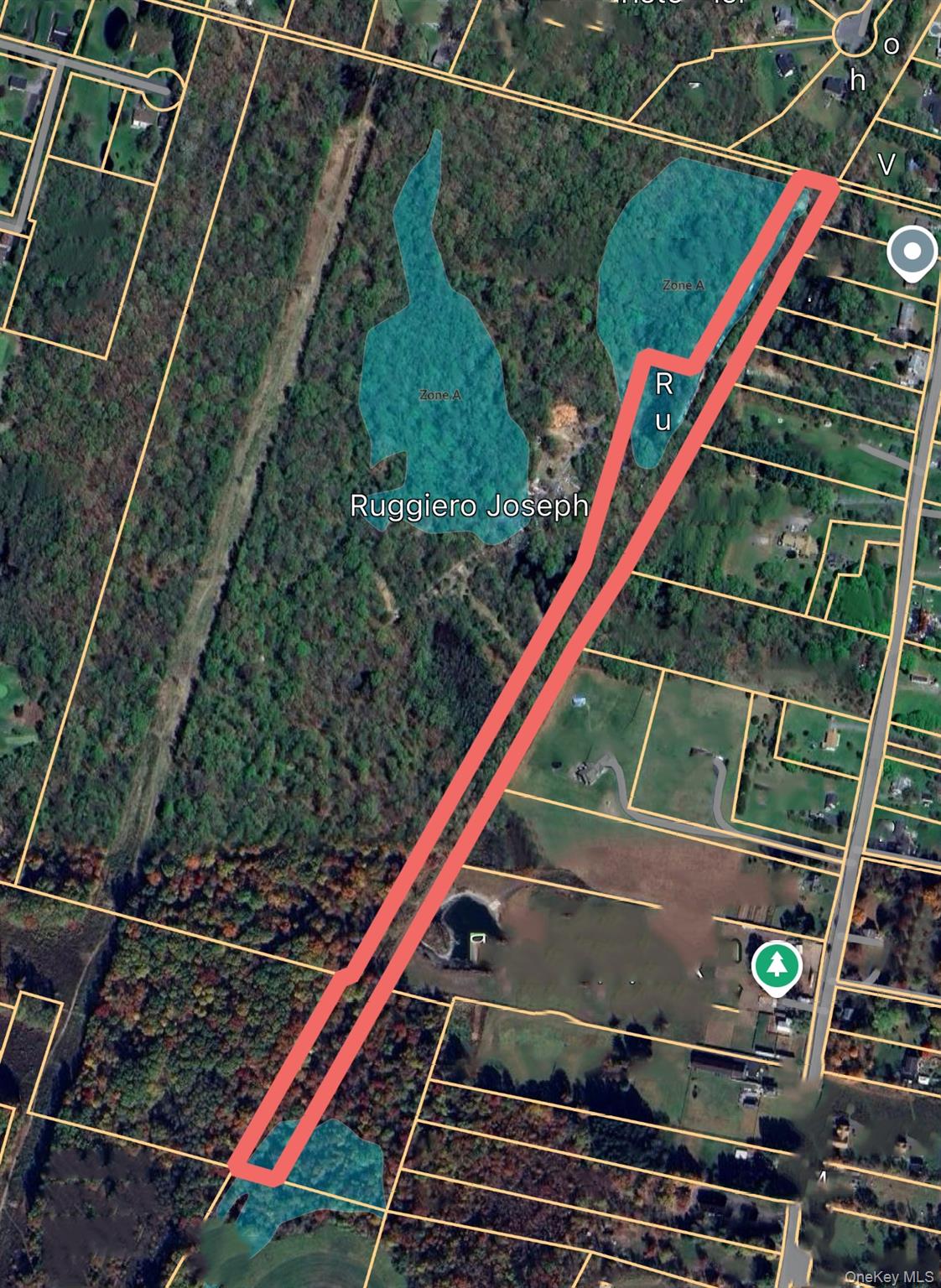 183 Plains Road Walden, NY 12586 - Photo 5 of 6 a view of a yard with a park