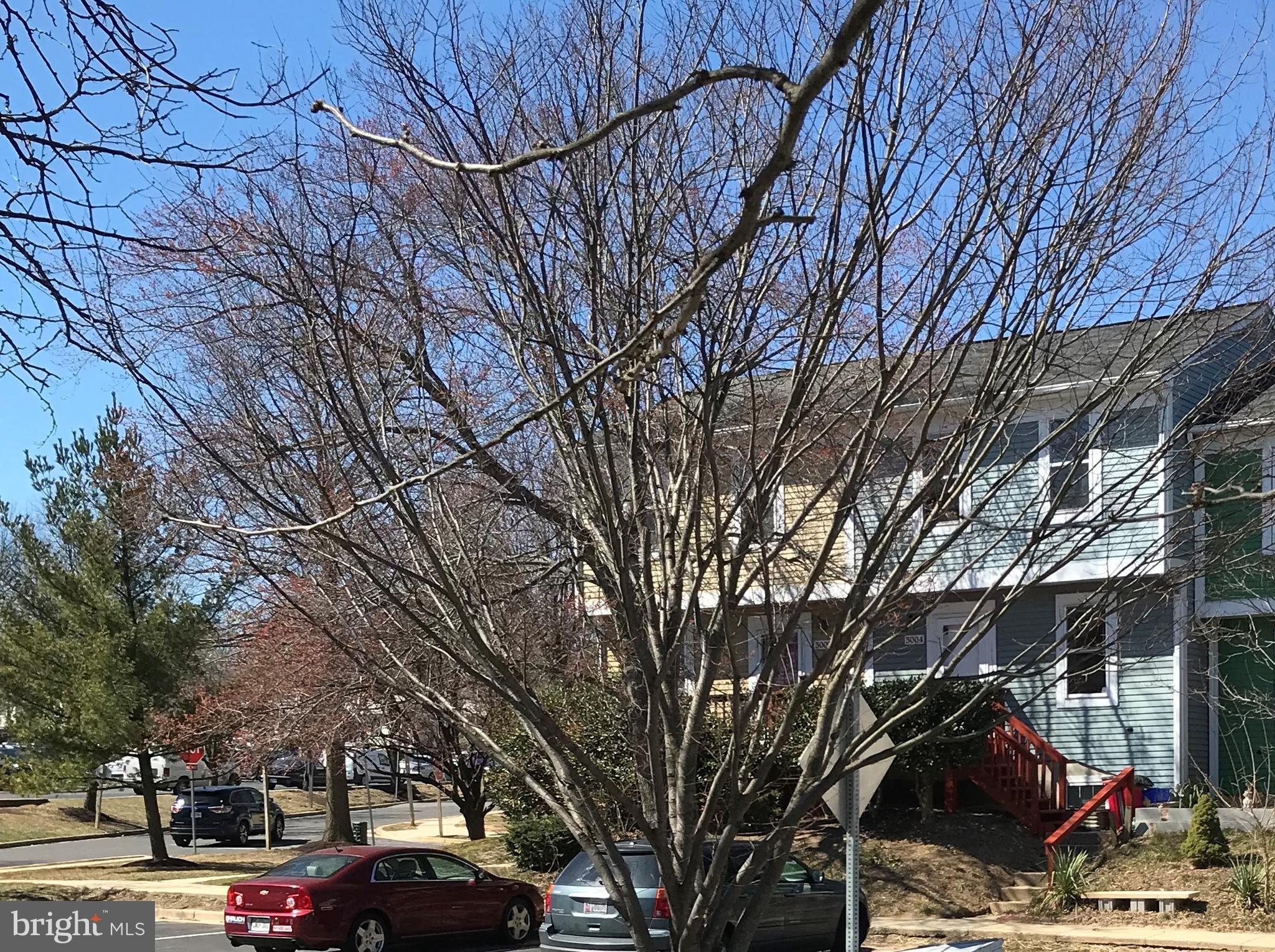 3004 Shepperton Terrace Silver Spring, MD 20904 - Photo 22 of 22 Avonshire community has assigned parking.