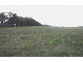 Tract #3 Lee Phillips Road Bloomington, IN 47403 - Photo 1 of 1 Gallery Image 1