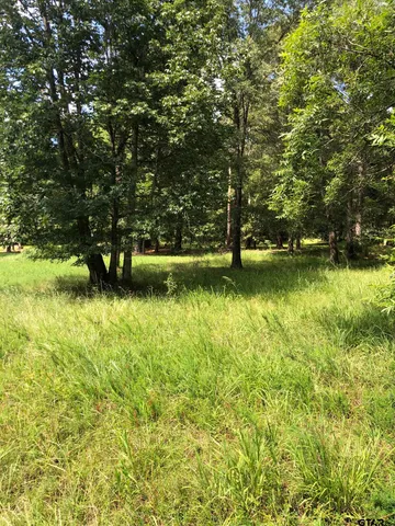 a view of yard with swimming pool and green space