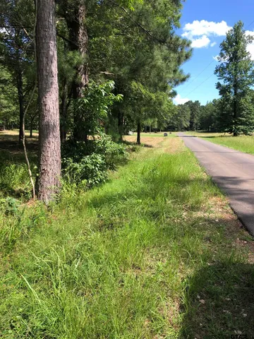 a view of outdoor space with a garden