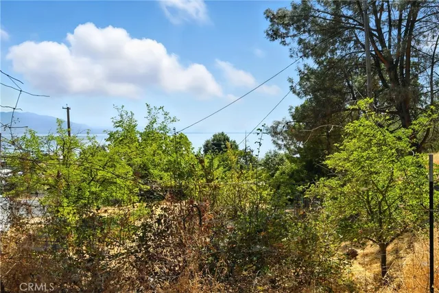 a view of a bunch of trees