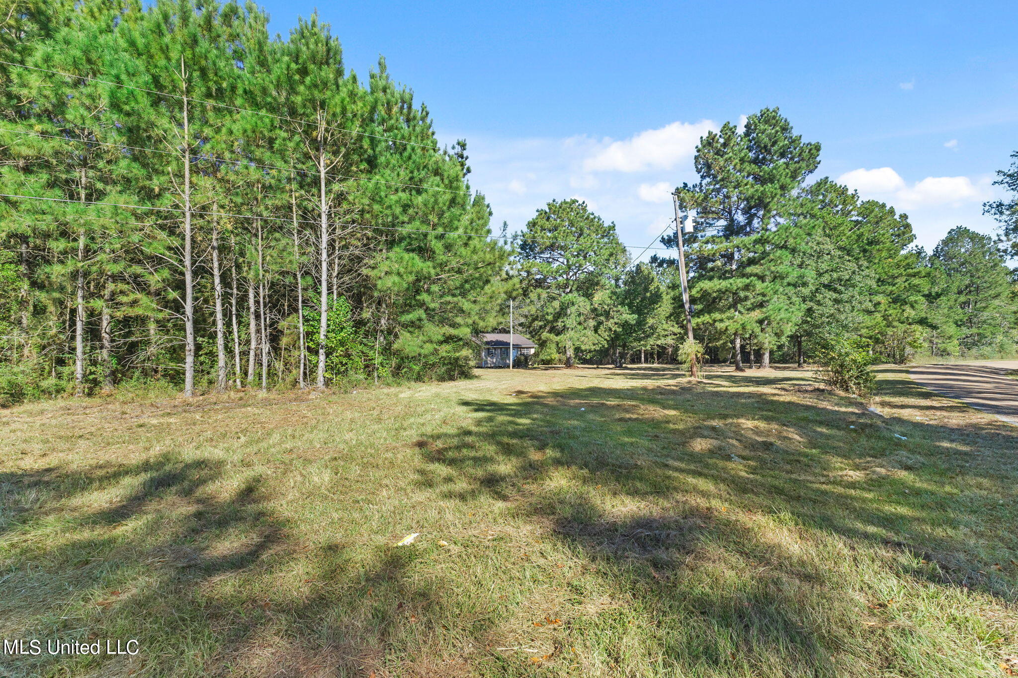 245 West Progress Road Prentiss, MS 39474 - Photo 4 of 24 245_W_Progress_Rd-3