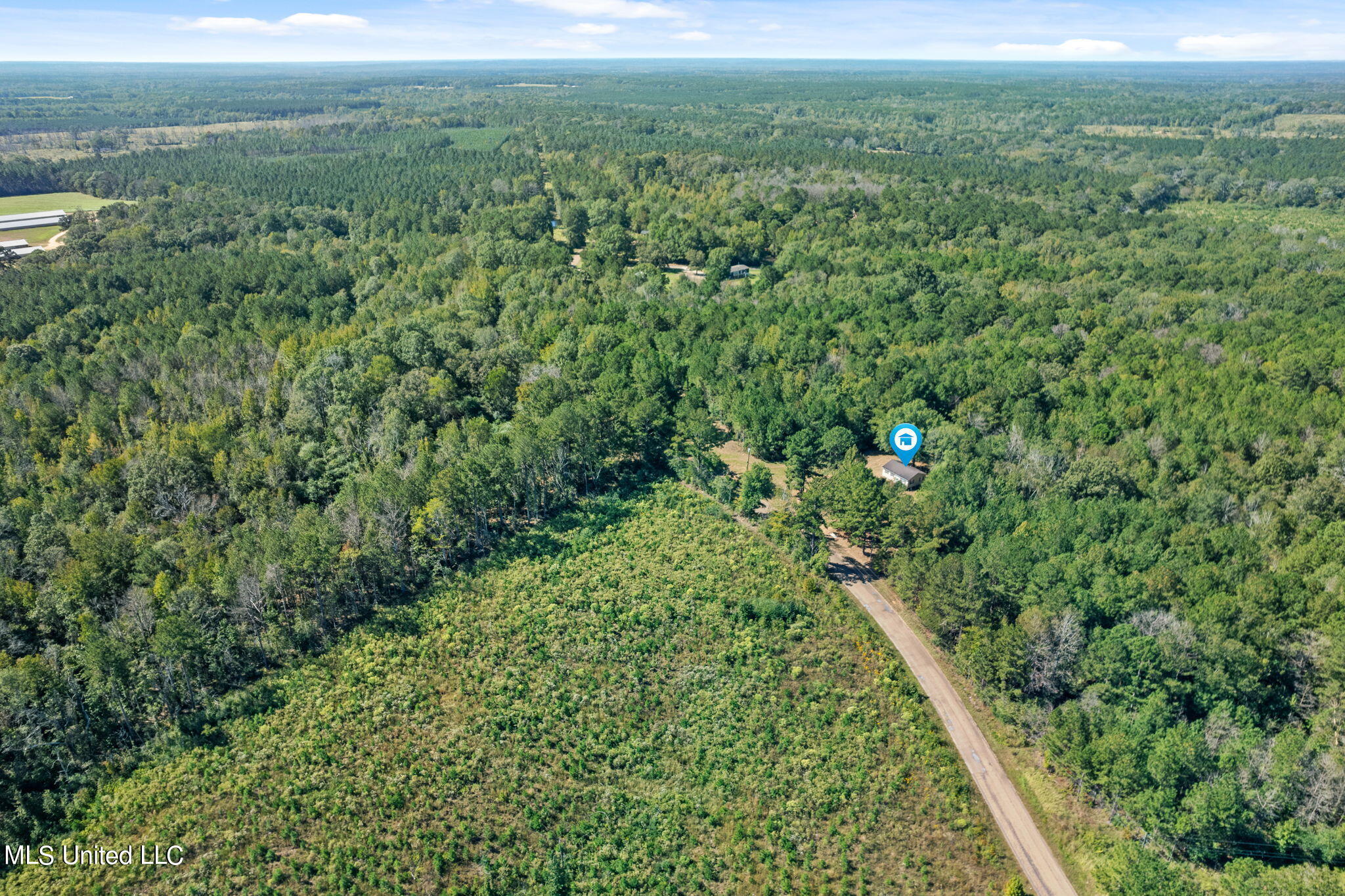 245 West Progress Road Prentiss, MS 39474 - Photo 5 of 24 245_W_Progress_Rd-29
