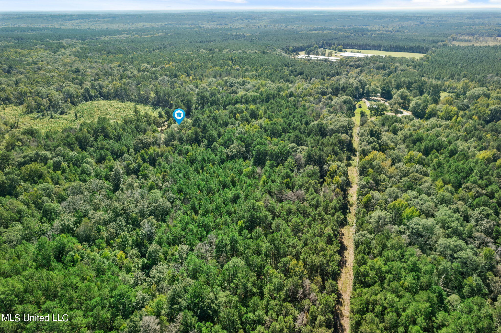245 West Progress Road Prentiss, MS 39474 - Photo 8 of 24 245_W_Progress_Rd-27