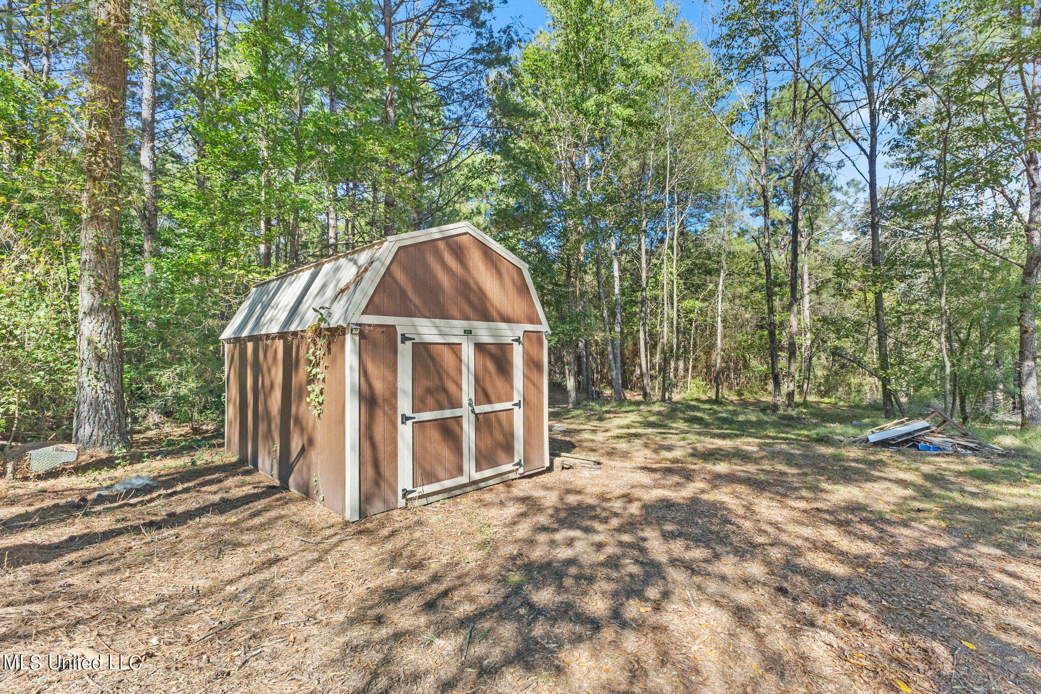 245 West Progress Road Prentiss, MS 39474 - Photo 9 of 24 245_W_Progress_Rd-26