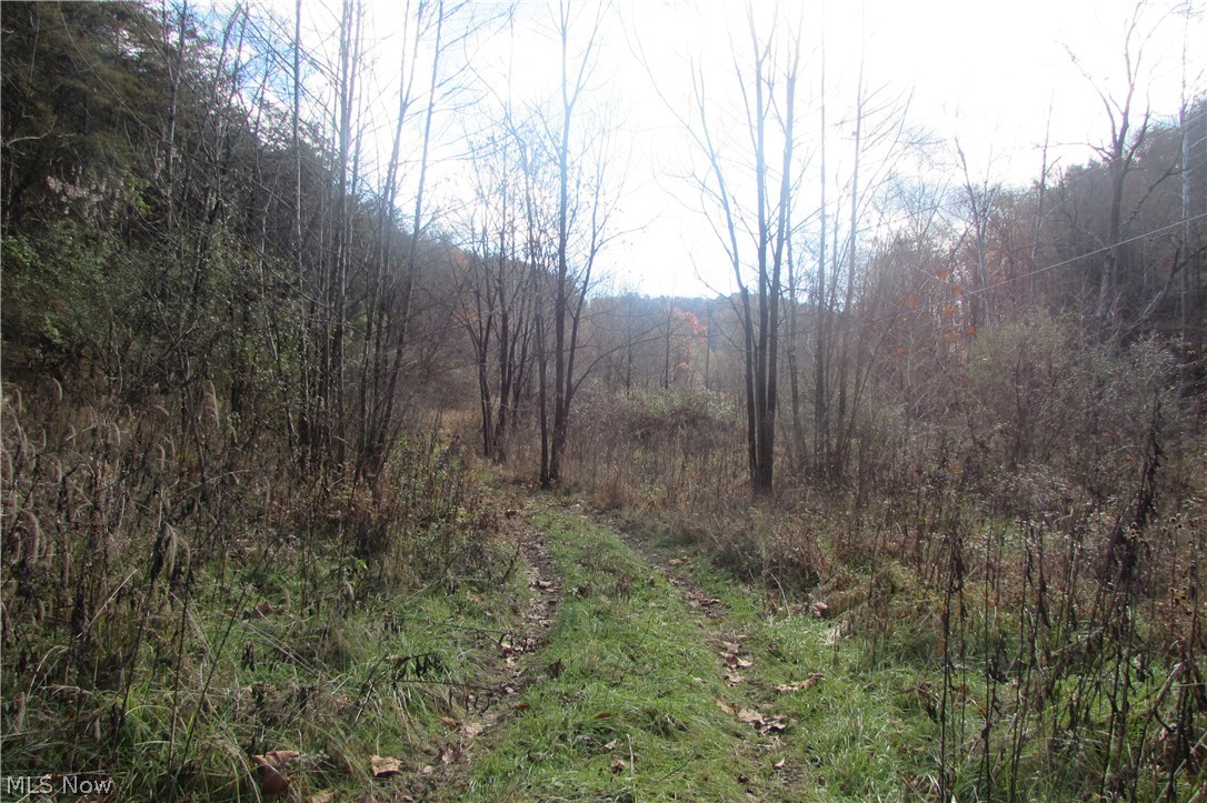Racy Road Petroleum, WV 26161 - Photo 6 of 16