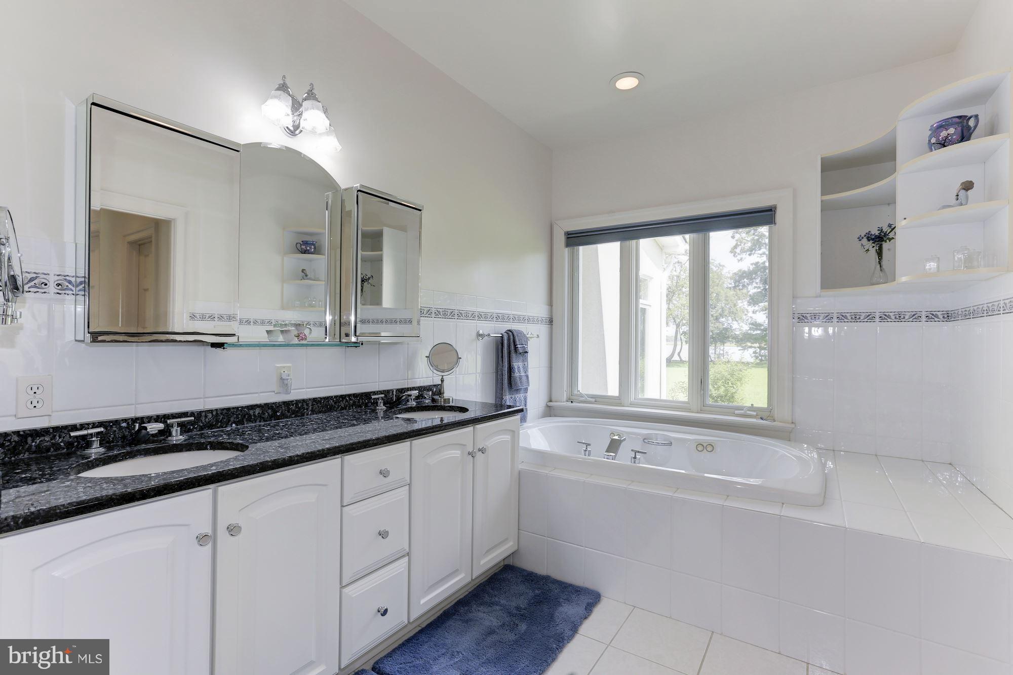 31780 Windy River Road Trappe, MD 21673 - Photo 23 of 30 Double sinks granite countertops