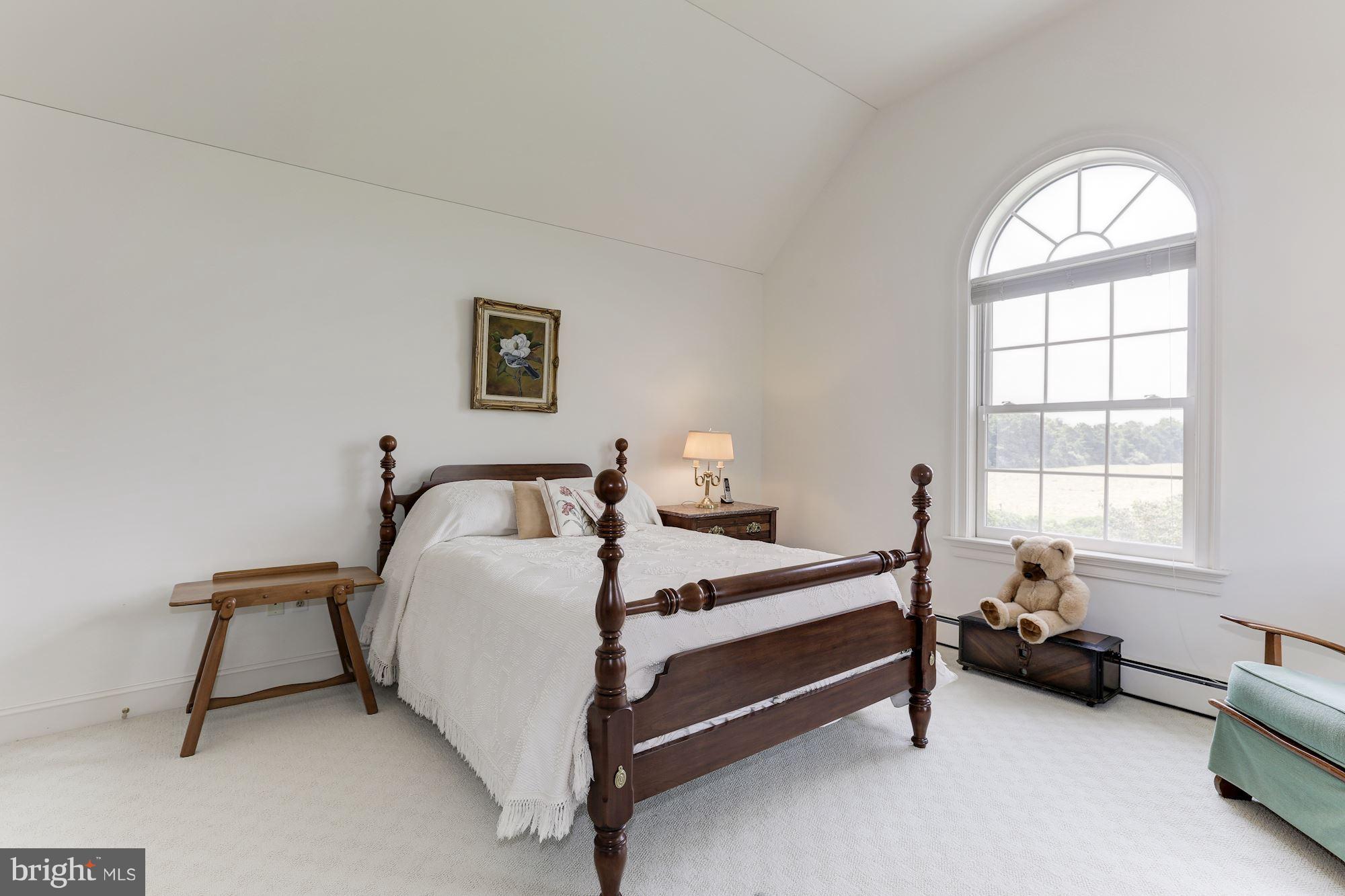 31780 Windy River Road Trappe, MD 21673 - Photo 25 of 30 Vaulted ceiling filled with natural light