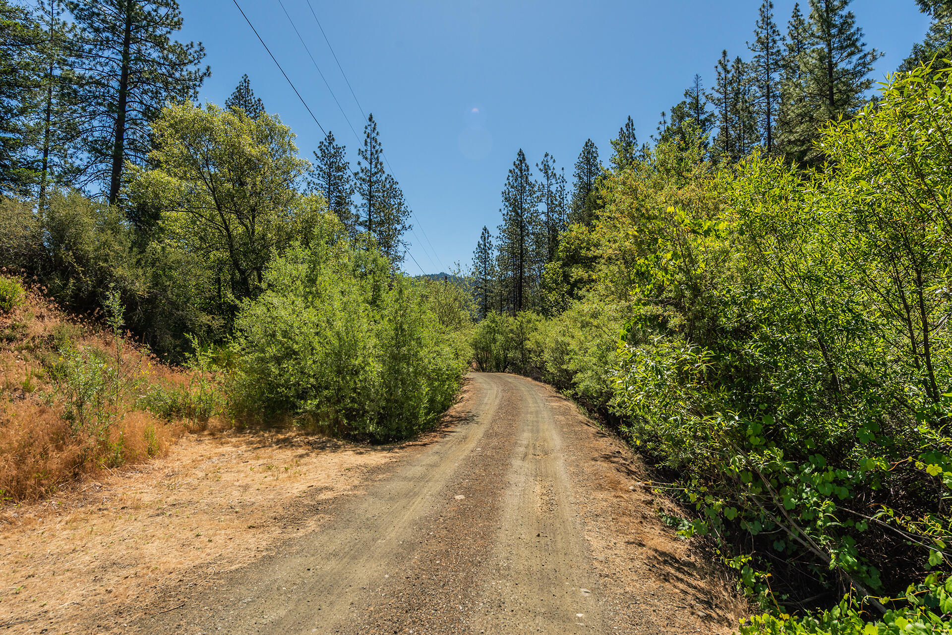 901 Dutch Creek Road Junction City, CA 96048 - Photo 14 of 70