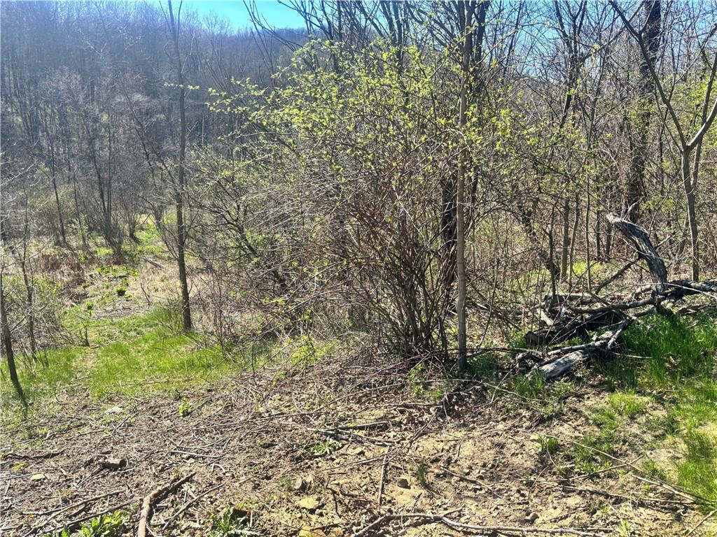 283 McClain Road Beaver Falls, PA 15010 - Photo 1 of 3