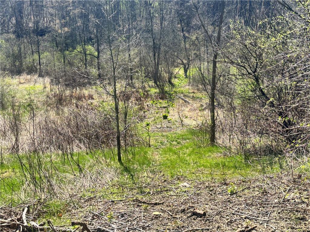 283 McClain Road Beaver Falls, PA 15010 - Photo 2 of 3