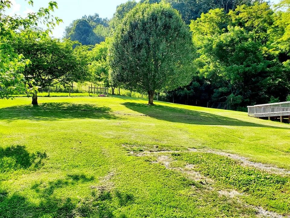 500 Shannons Branch Road Cedar Bluff, VA 24609 - Photo 17 of 49 Gallery Image 17