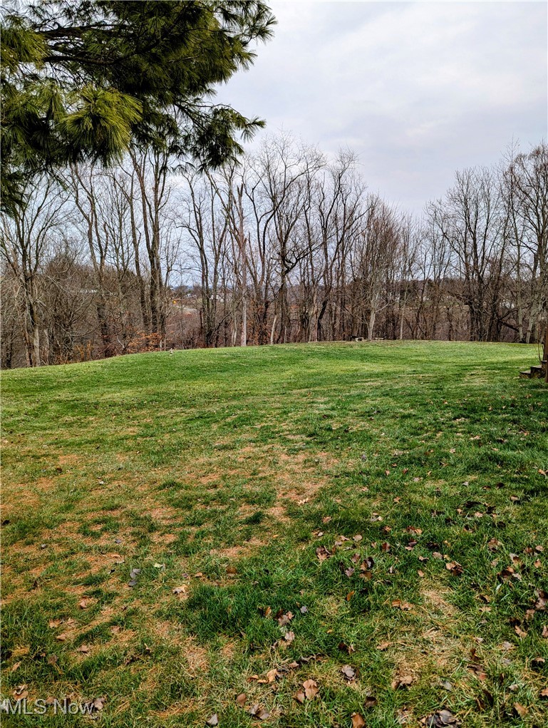 62769 Riggs Road Bellaire, OH 43906 - Photo 16 of 20 View of yard