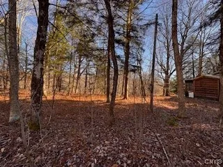 $80,000 | 64 Beaver Creek Road, Redfield, NY 13437