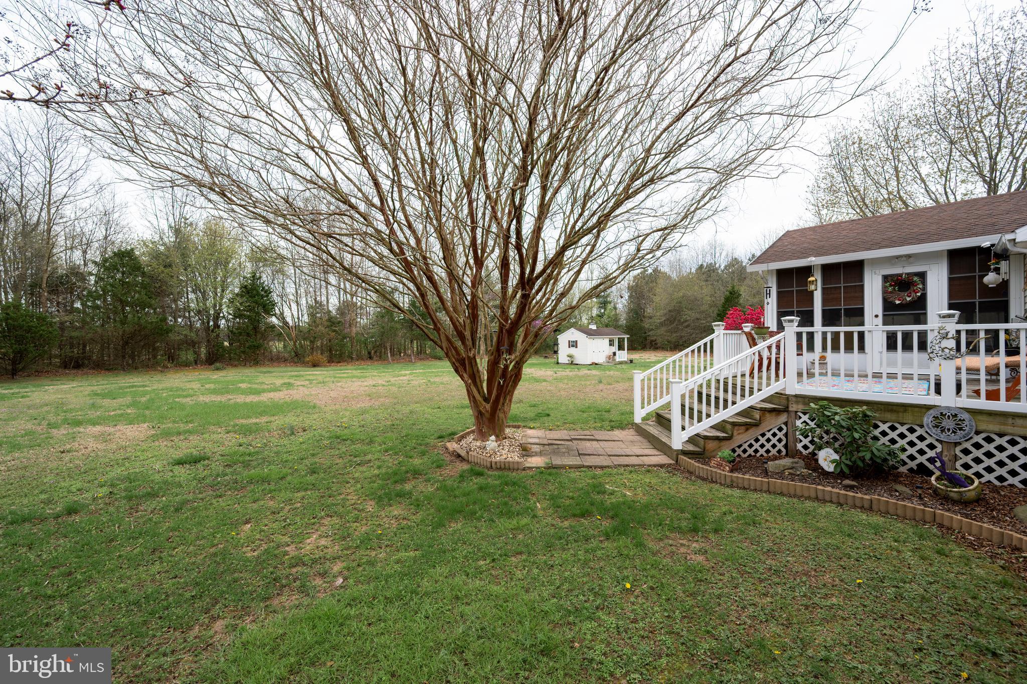 65 Susannah Drive Magnolia, DE 19962 - Photo 31 of 31 a view of a house with backyard and a tree