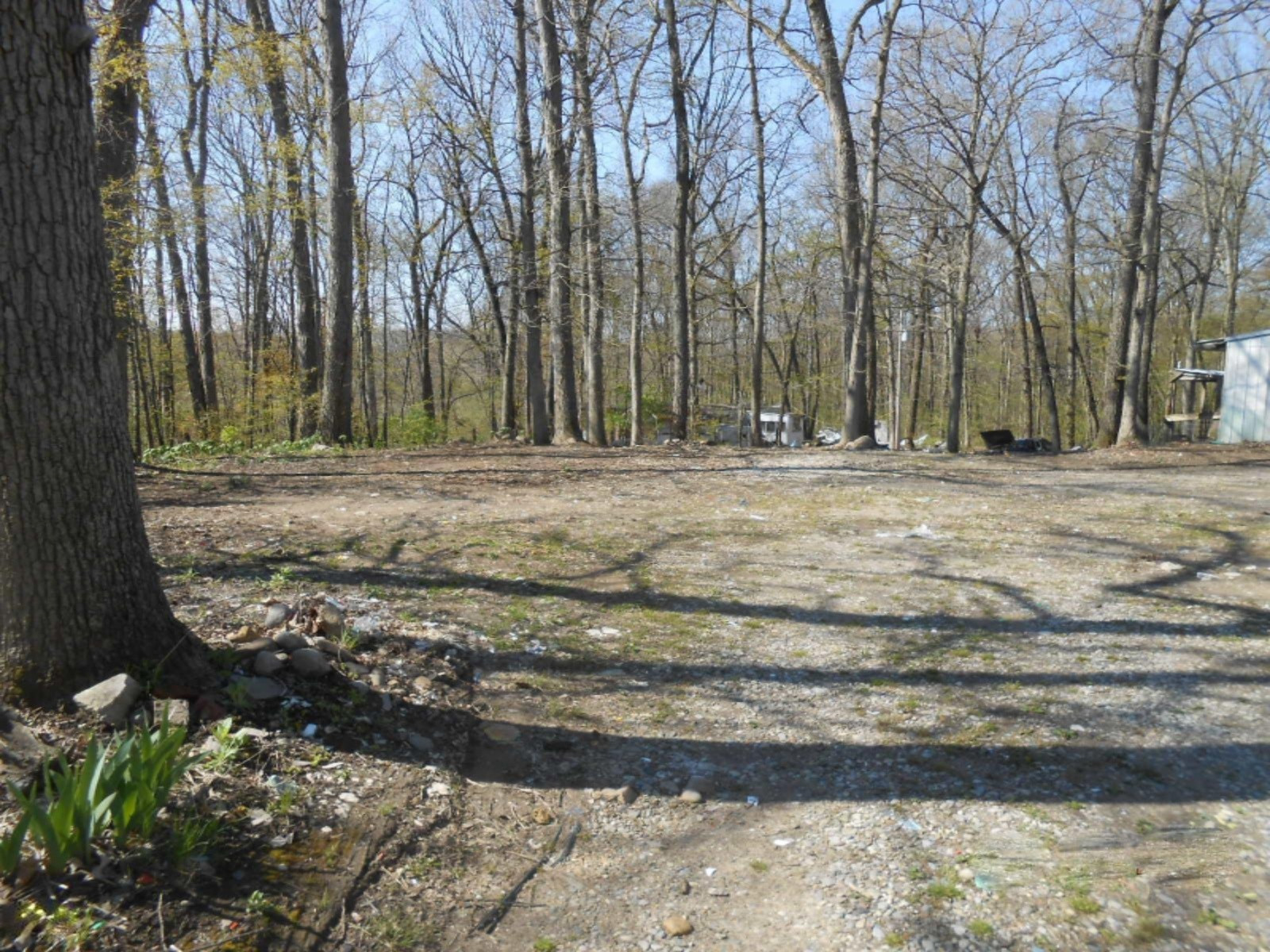 9681 Gray Goose Road Jerome, MI 49249 - Photo 5 of 23 DSCN4906